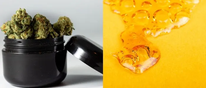Understanding the Difference Between Hash and Wax