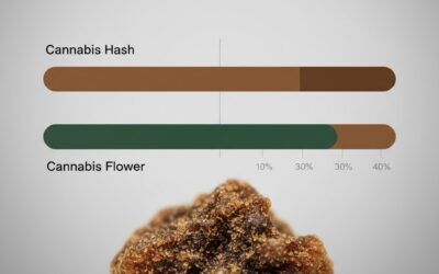 How Strong Is Cannabis Hash? THC Levels and Effects Explained